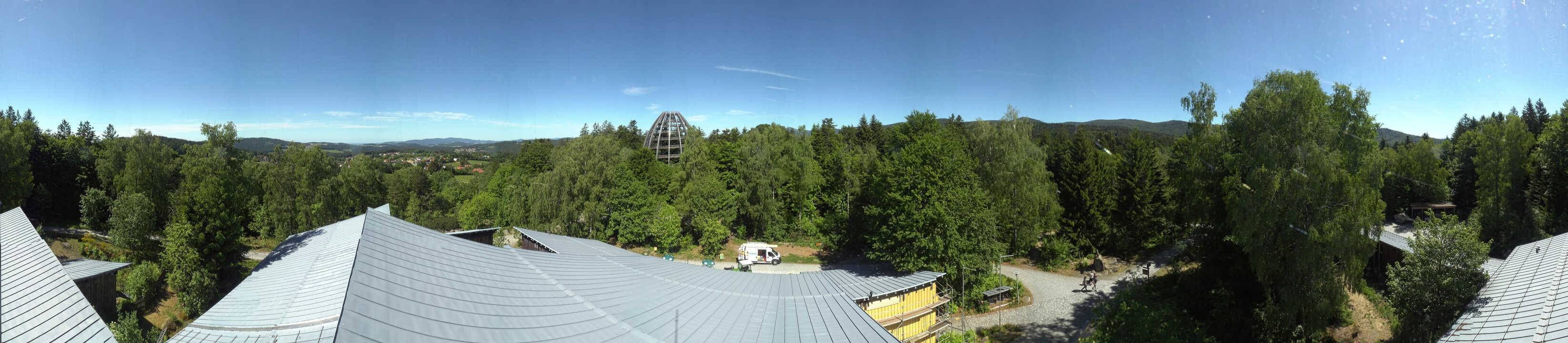 Archiv Foto Webcam Neuschönau - Baumwipfelpfad Bayerischer Wald