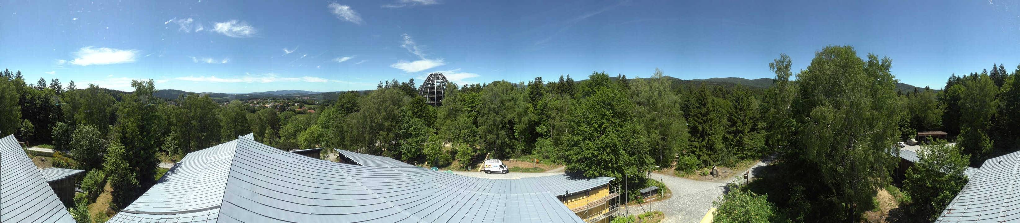 Archiv Foto Webcam Neuschönau - Baumwipfelpfad Bayerischer Wald