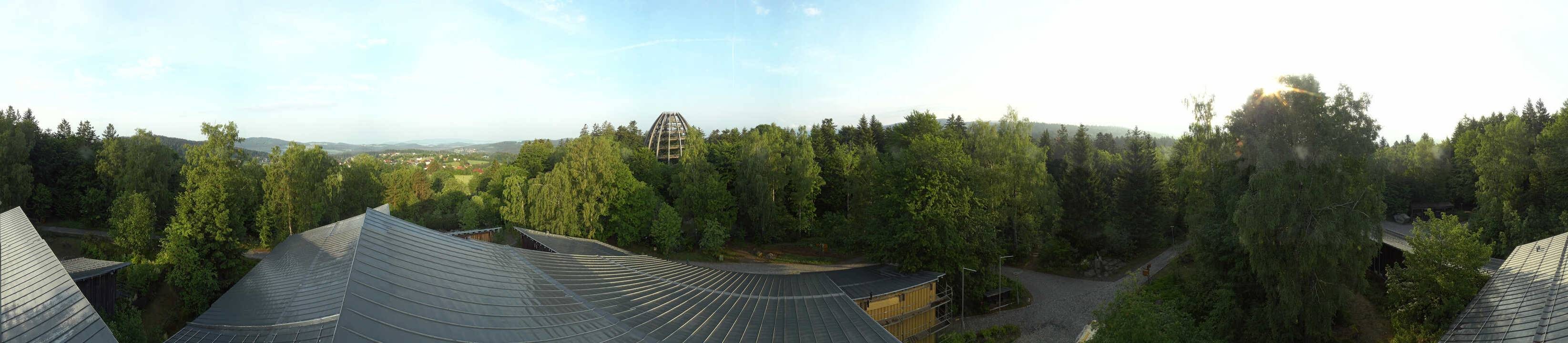 Archiv Foto Webcam Neuschönau - Baumwipfelpfad Bayerischer Wald