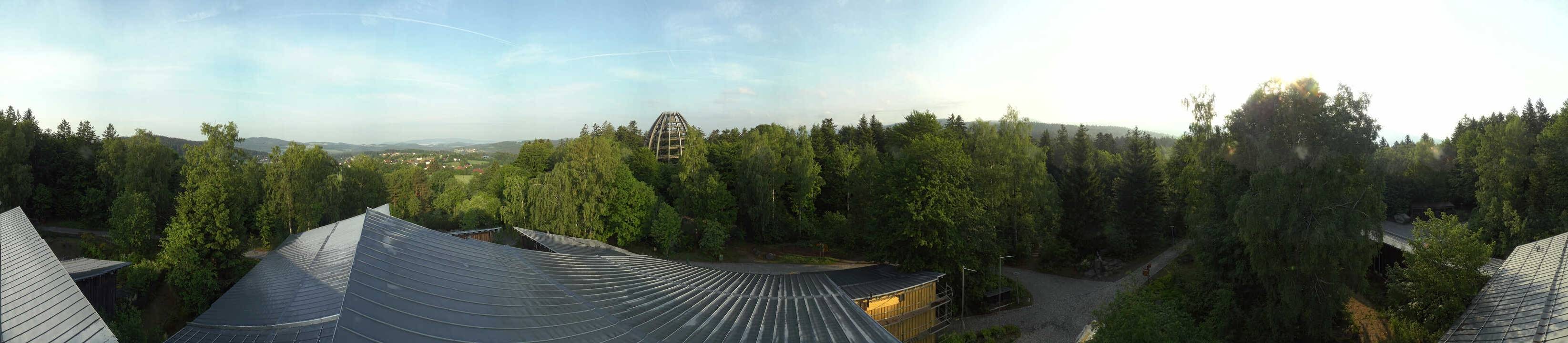 Archiv Foto Webcam Neuschönau - Baumwipfelpfad Bayerischer Wald