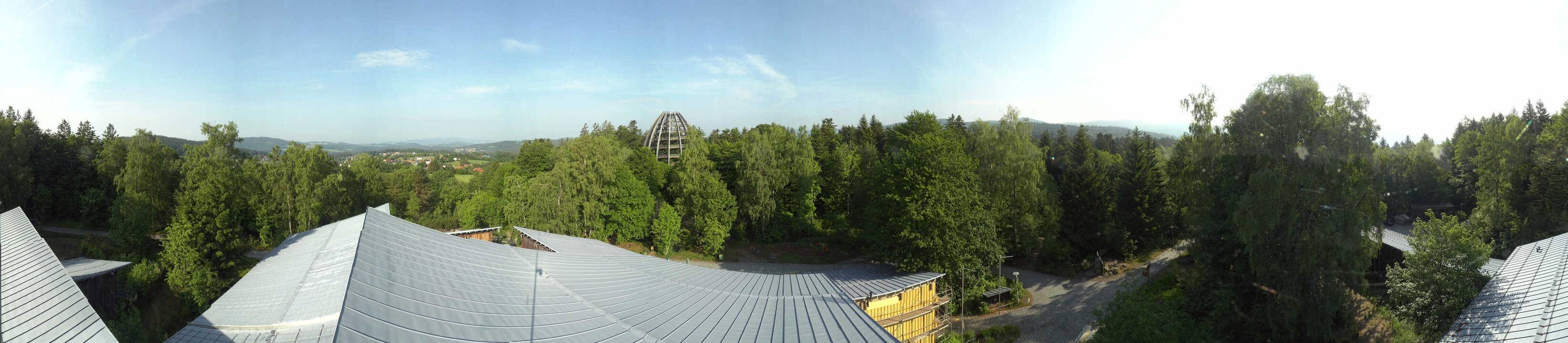 Archiv Foto Webcam Neuschönau - Baumwipfelpfad Bayerischer Wald