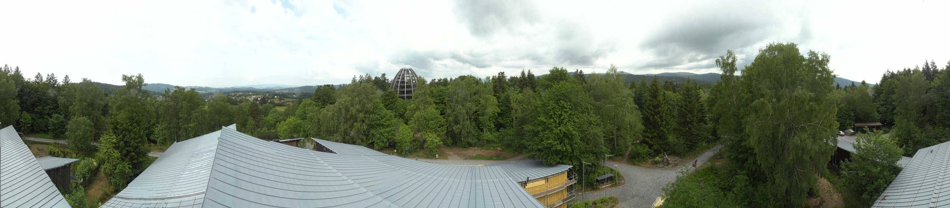 Archiv Foto Webcam Neuschönau - Baumwipfelpfad Bayerischer Wald