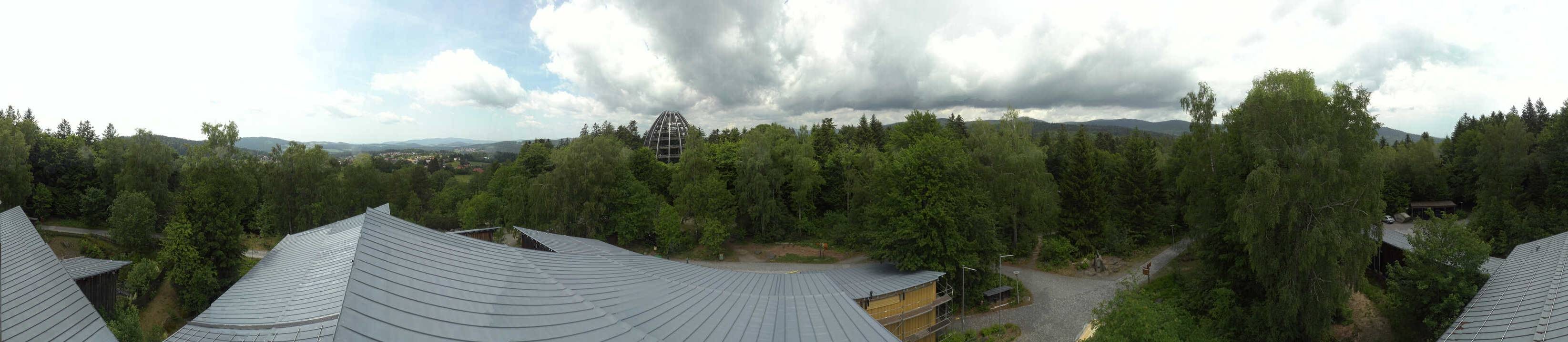 Archiv Foto Webcam Neuschönau - Baumwipfelpfad Bayerischer Wald