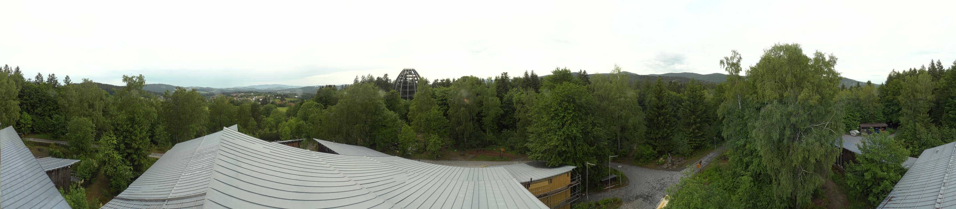 Archiv Foto Webcam Neuschönau - Baumwipfelpfad Bayerischer Wald