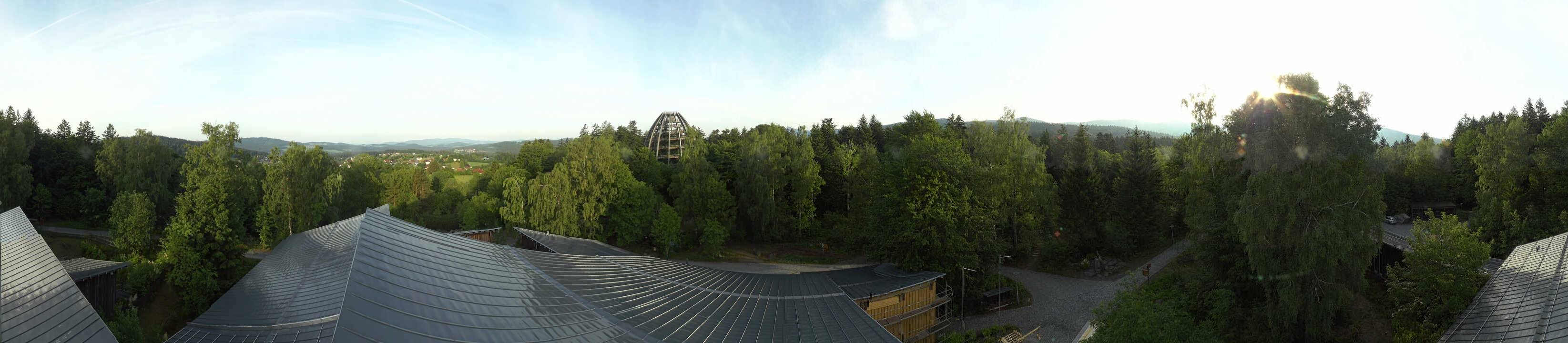 Archiv Foto Webcam Neuschönau - Baumwipfelpfad Bayerischer Wald