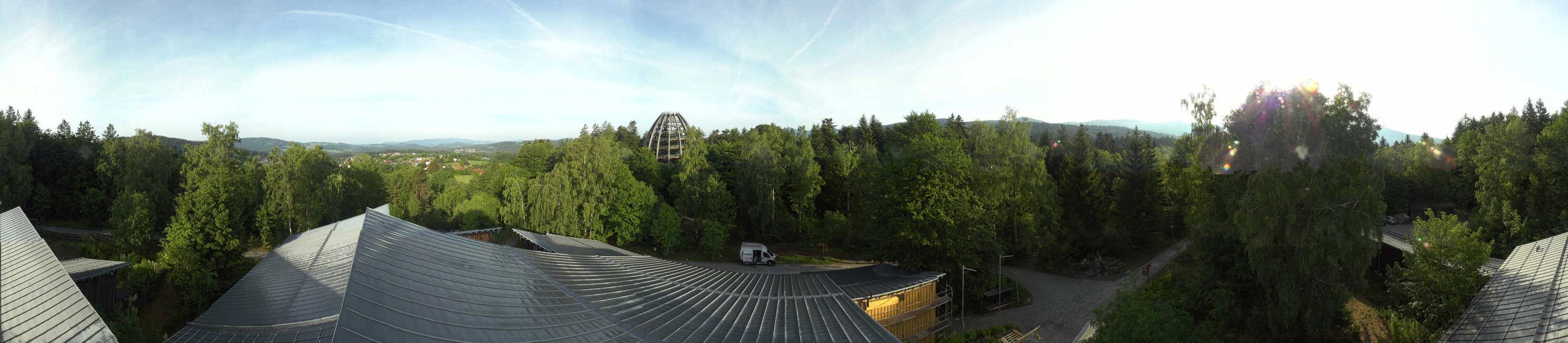 Archiv Foto Webcam Neuschönau - Baumwipfelpfad Bayerischer Wald