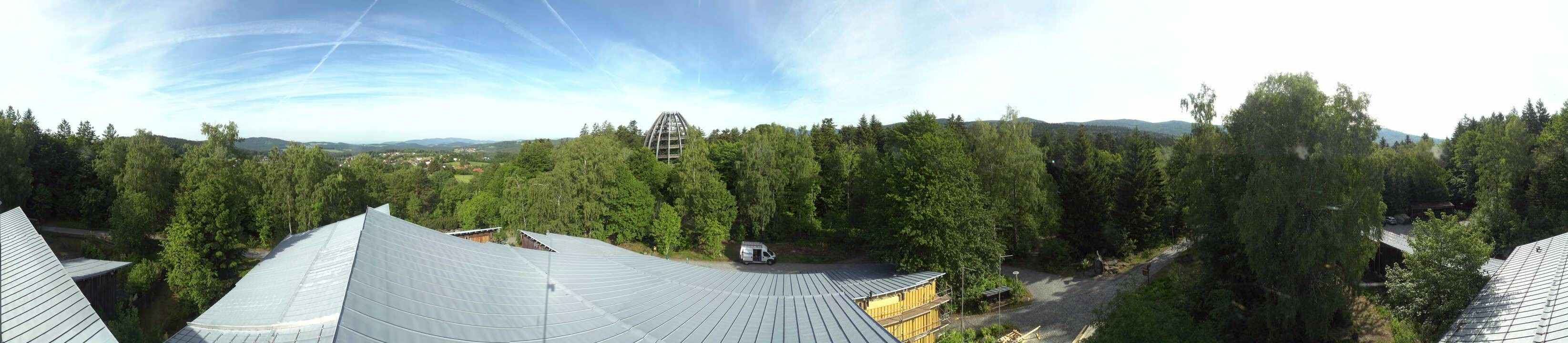 Archiv Foto Webcam Neuschönau - Baumwipfelpfad Bayerischer Wald