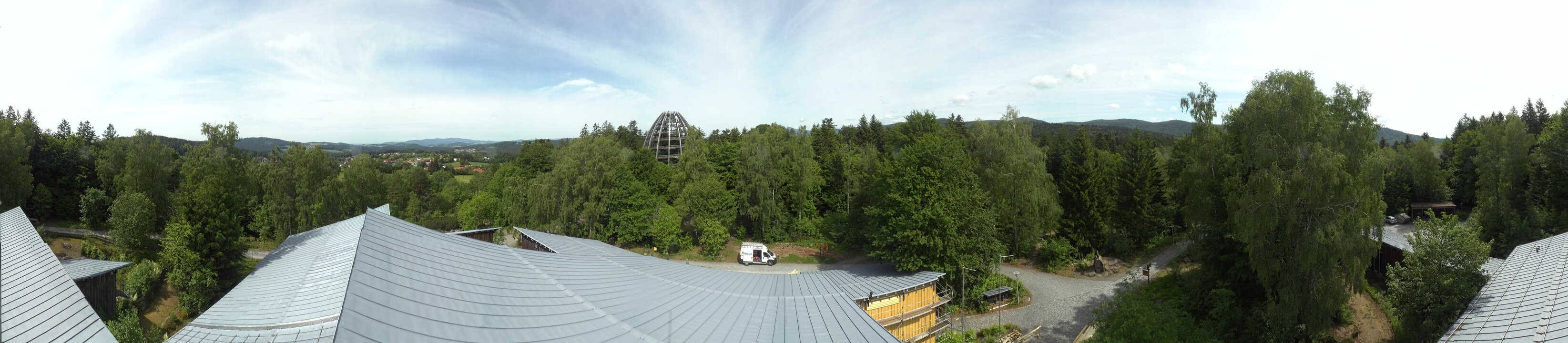 Archiv Foto Webcam Neuschönau - Baumwipfelpfad Bayerischer Wald