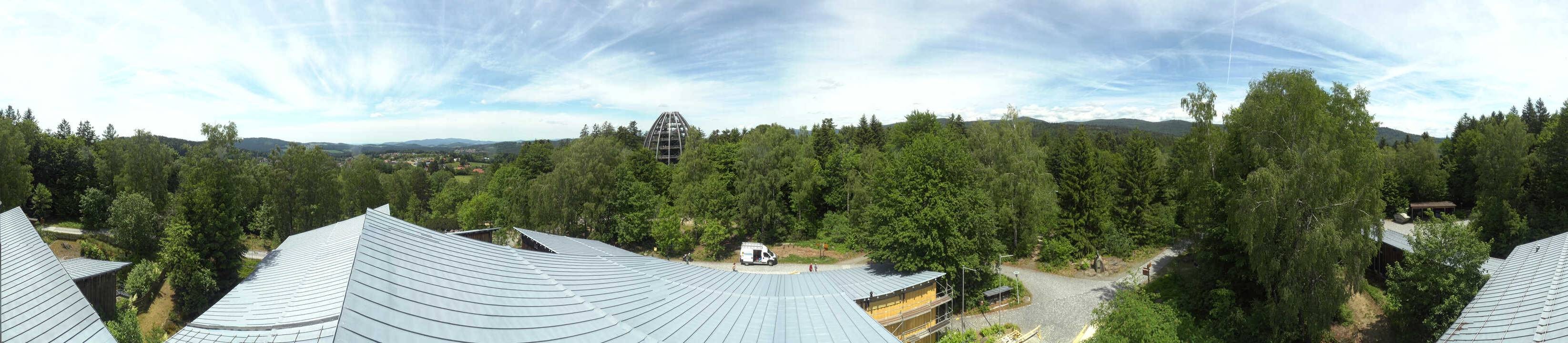 Archiv Foto Webcam Neuschönau - Baumwipfelpfad Bayerischer Wald