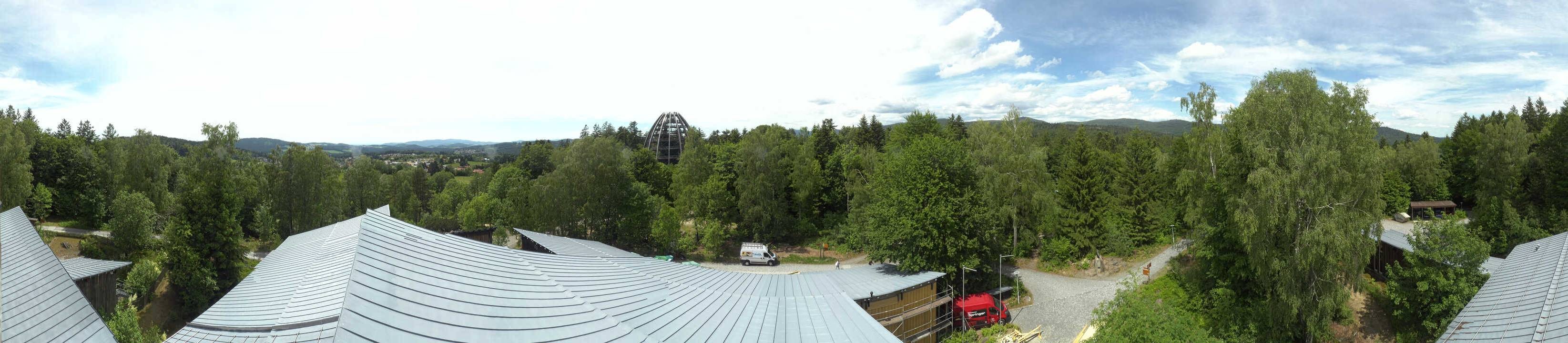 Archiv Foto Webcam Neuschönau - Baumwipfelpfad Bayerischer Wald