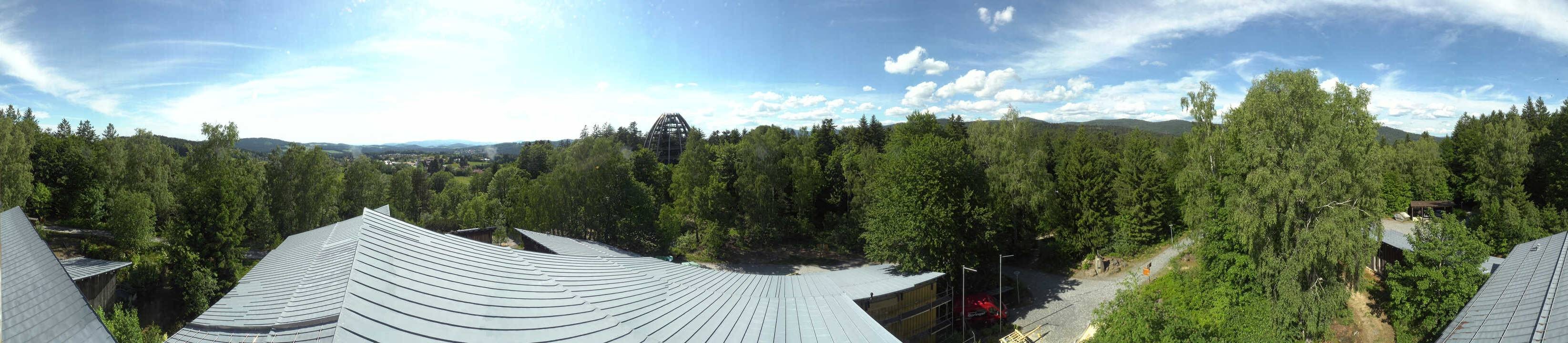 Archiv Foto Webcam Neuschönau - Baumwipfelpfad Bayerischer Wald