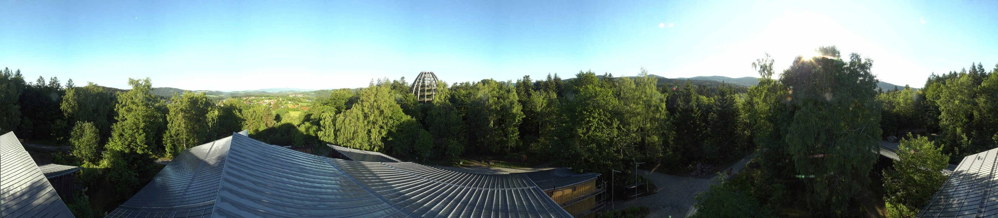 Archived image Webcam Neuschönau - Tree Top Walk Bavarian Forest