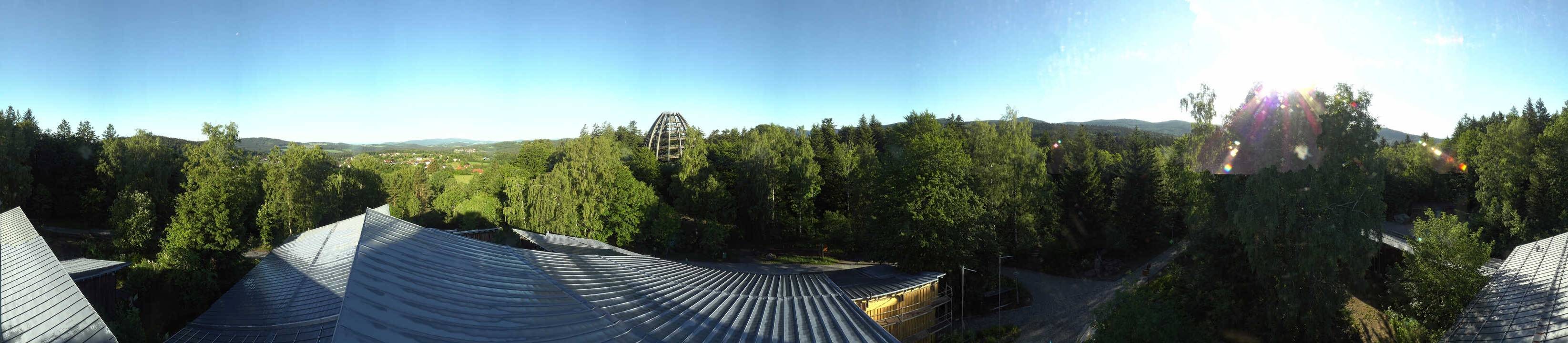 Archived image Webcam Neuschönau - Tree Top Walk Bavarian Forest