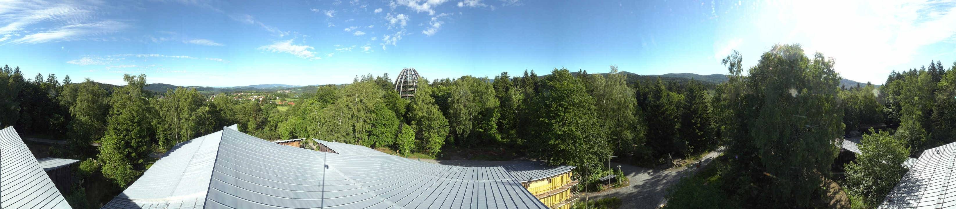 Archived image Webcam Neuschönau - Tree Top Walk Bavarian Forest