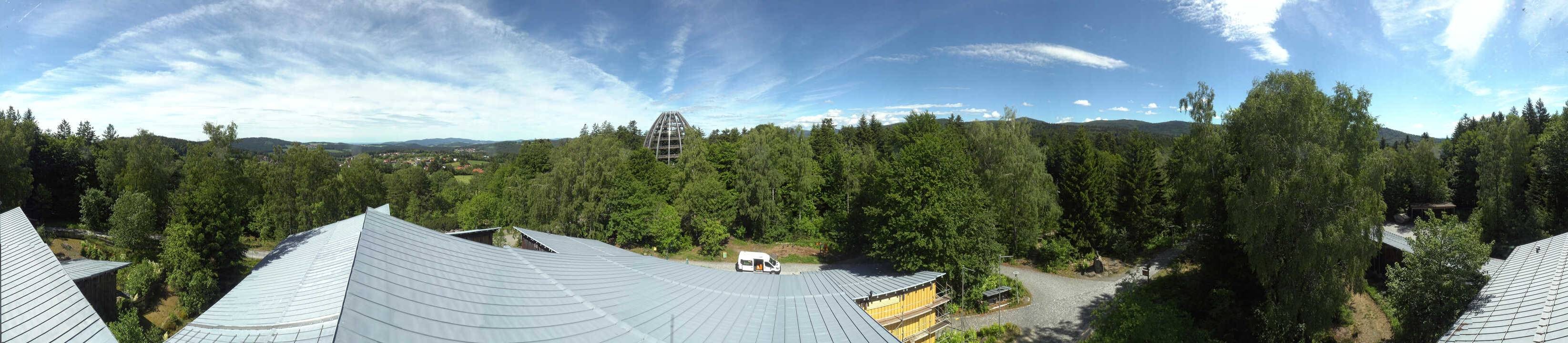 Archived image Webcam Neuschönau - Tree Top Walk Bavarian Forest