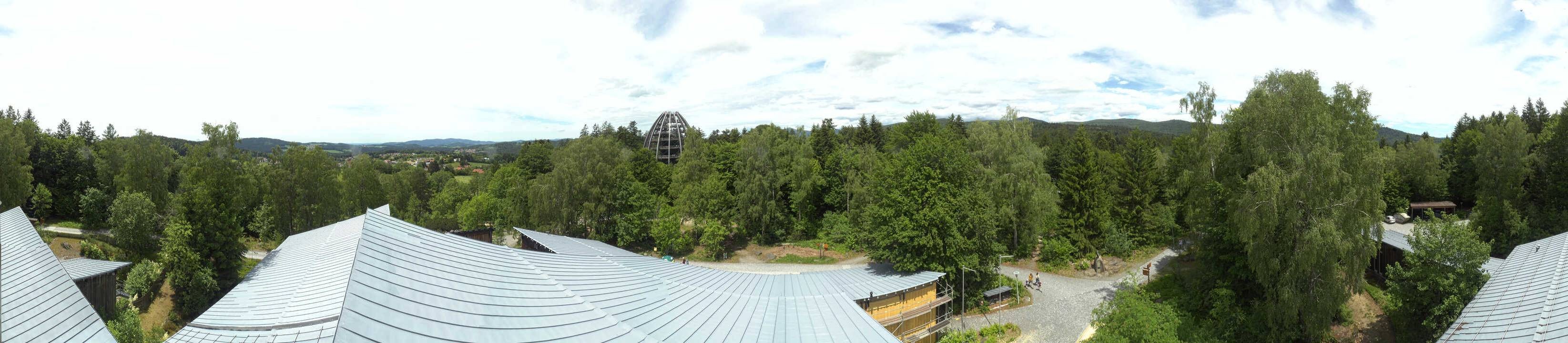 Archived image Webcam Neuschönau - Tree Top Walk Bavarian Forest