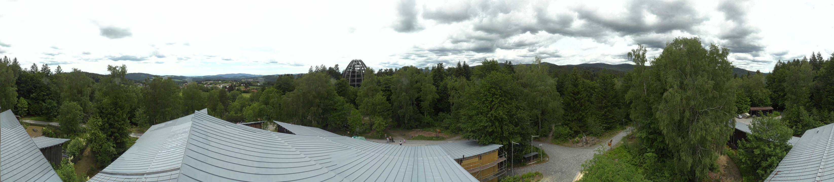Archived image Webcam Neuschönau - Tree Top Walk Bavarian Forest