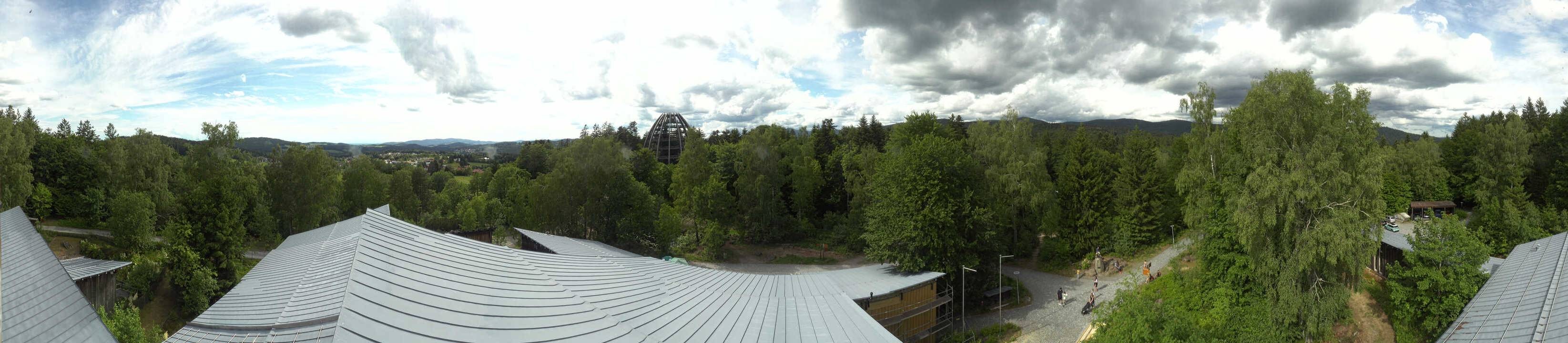 Archived image Webcam Neuschönau - Tree Top Walk Bavarian Forest