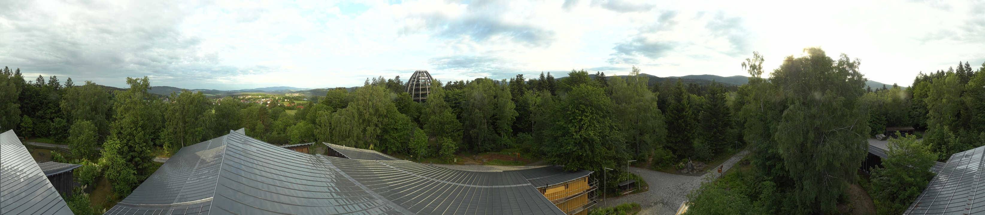 Archiv Foto Webcam Neuschönau - Baumwipfelpfad Bayerischer Wald