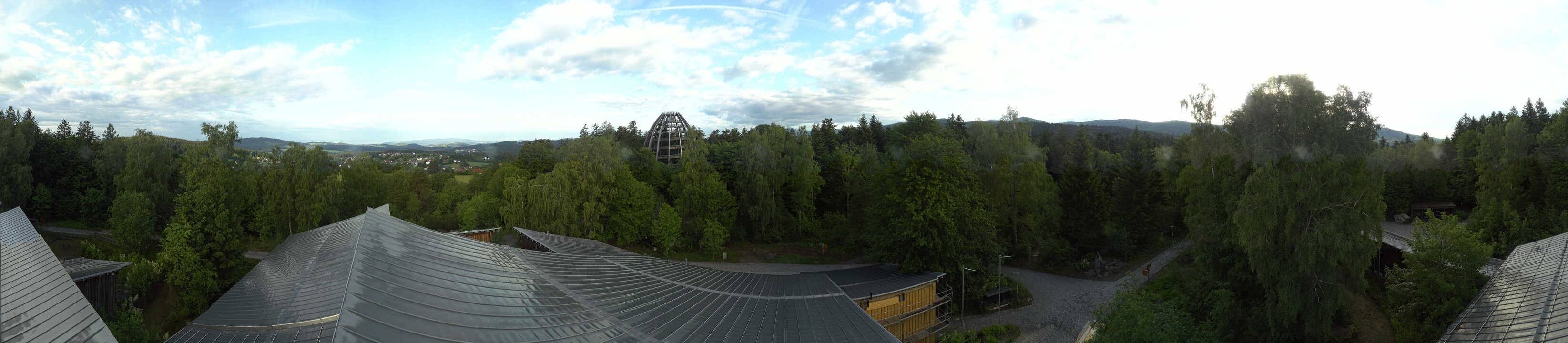 Archiv Foto Webcam Neuschönau - Baumwipfelpfad Bayerischer Wald