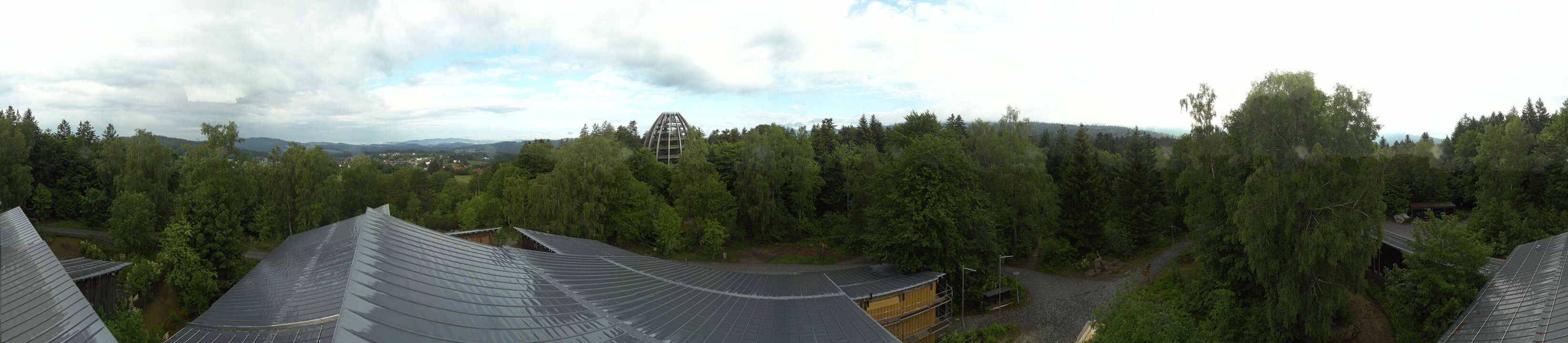 Archiv Foto Webcam Neuschönau - Baumwipfelpfad Bayerischer Wald