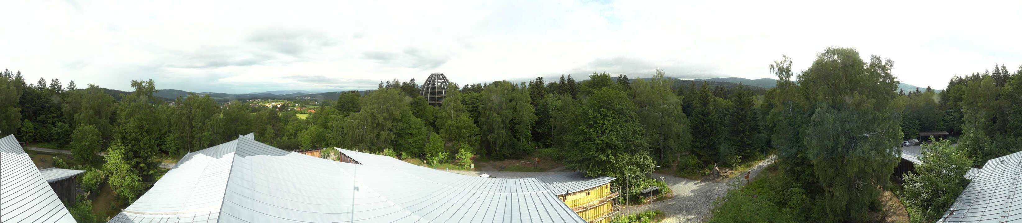 Archiv Foto Webcam Neuschönau - Baumwipfelpfad Bayerischer Wald
