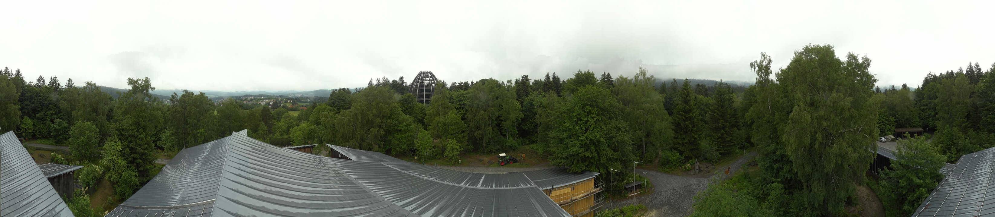 Archiv Foto Webcam Neuschönau - Baumwipfelpfad Bayerischer Wald