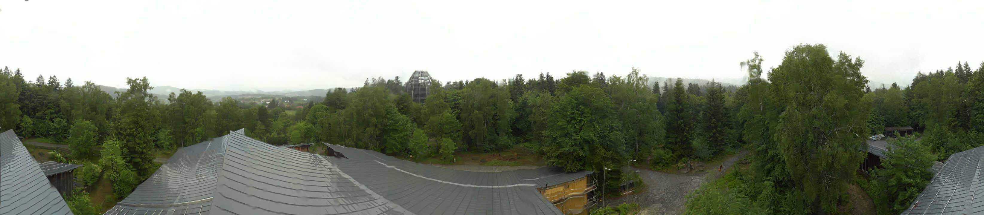 Archiv Foto Webcam Neuschönau - Baumwipfelpfad Bayerischer Wald