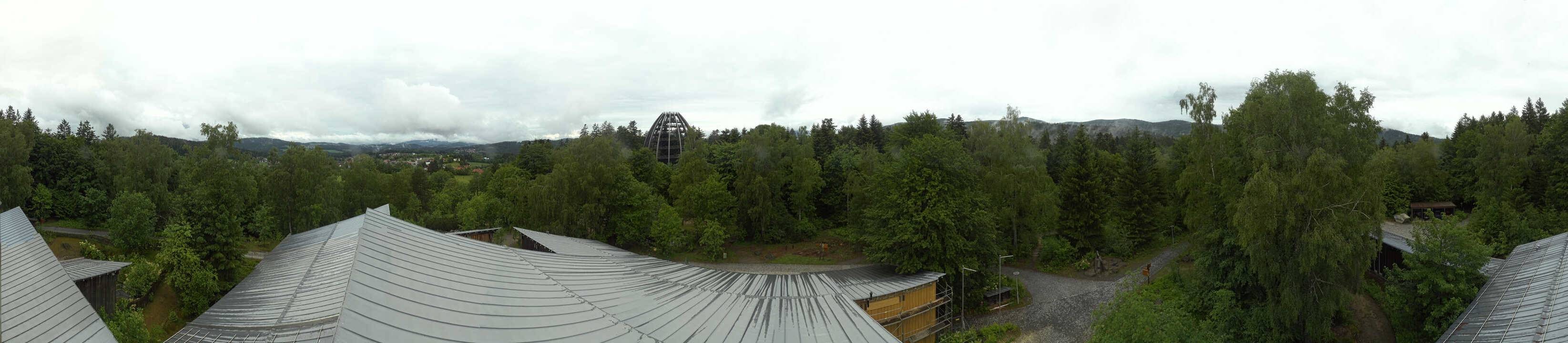 Archiv Foto Webcam Neuschönau - Baumwipfelpfad Bayerischer Wald