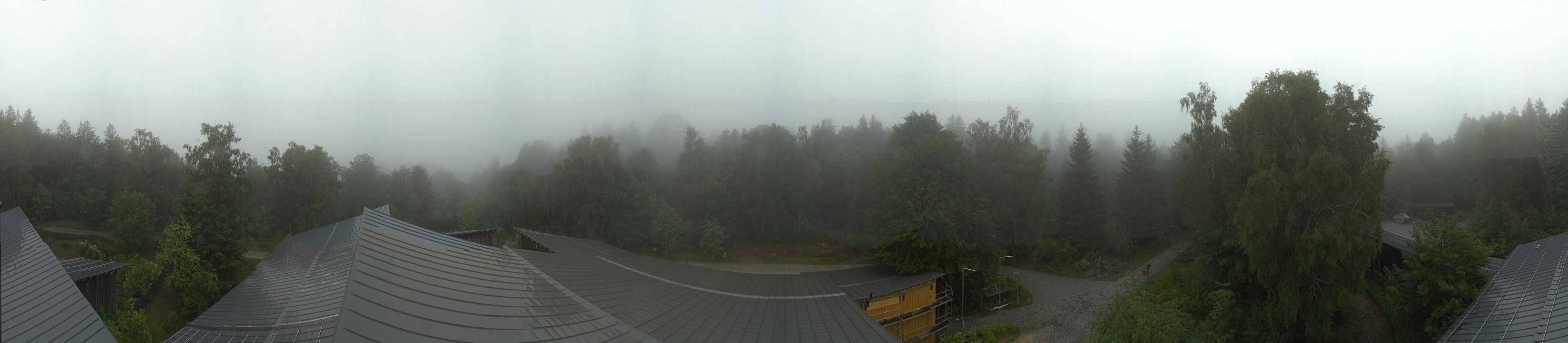 Archived image Webcam Neuschönau - Tree Top Walk Bavarian Forest