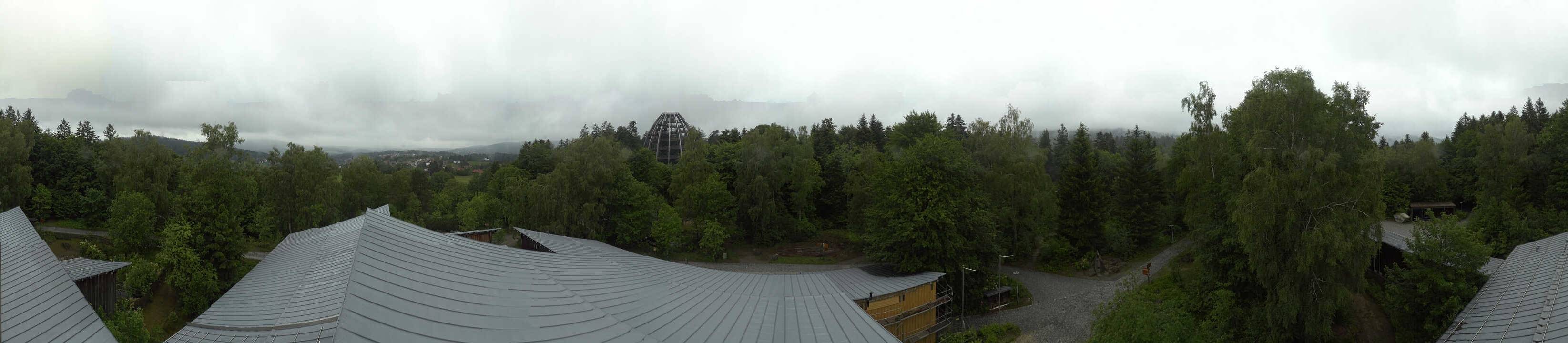 Archived image Webcam Neuschönau - Tree Top Walk Bavarian Forest
