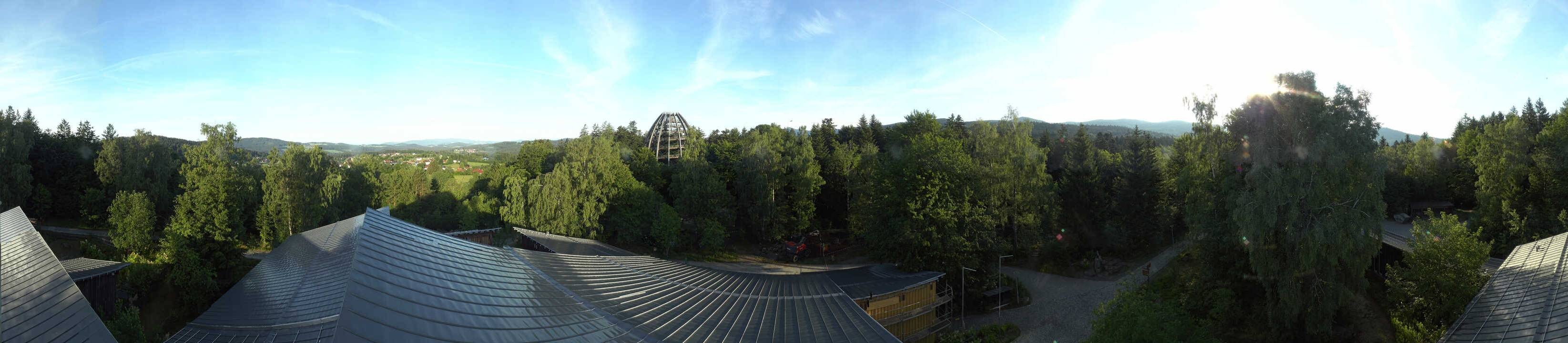Archiv Foto Webcam Neuschönau - Baumwipfelpfad Bayerischer Wald