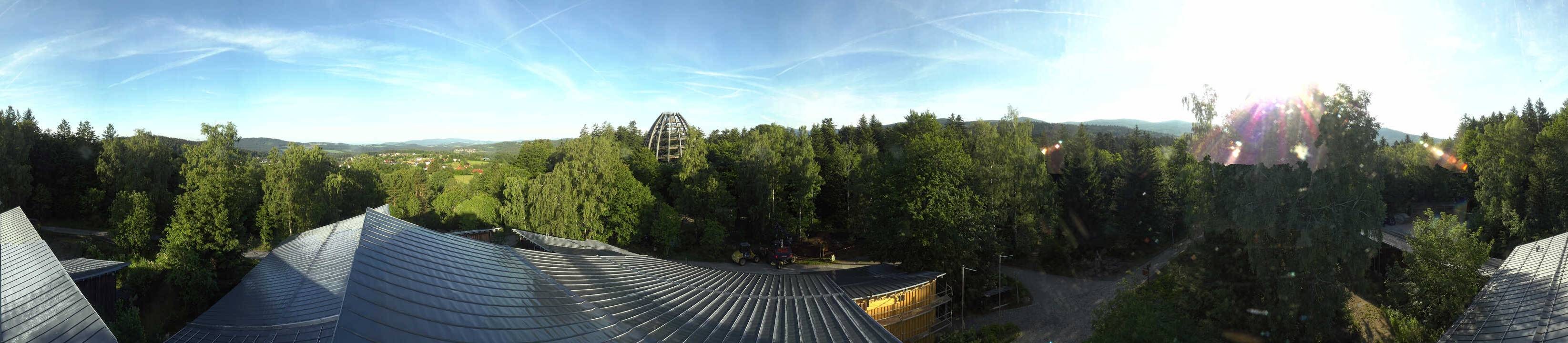 Archiv Foto Webcam Neuschönau - Baumwipfelpfad Bayerischer Wald