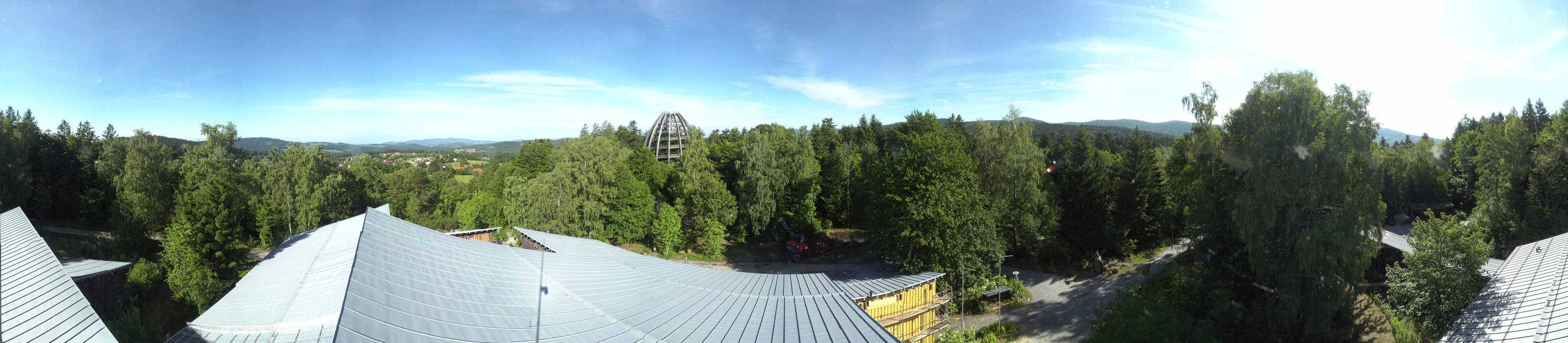 Archiv Foto Webcam Neuschönau - Baumwipfelpfad Bayerischer Wald