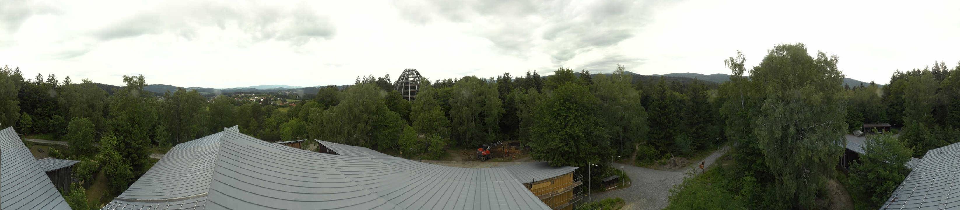 Archiv Foto Webcam Neuschönau - Baumwipfelpfad Bayerischer Wald