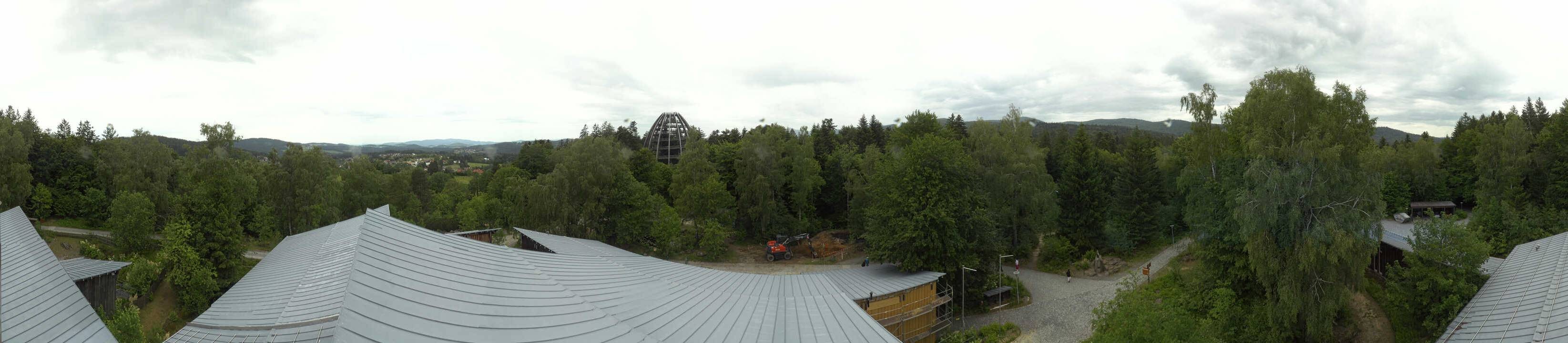 Archiv Foto Webcam Neuschönau - Baumwipfelpfad Bayerischer Wald