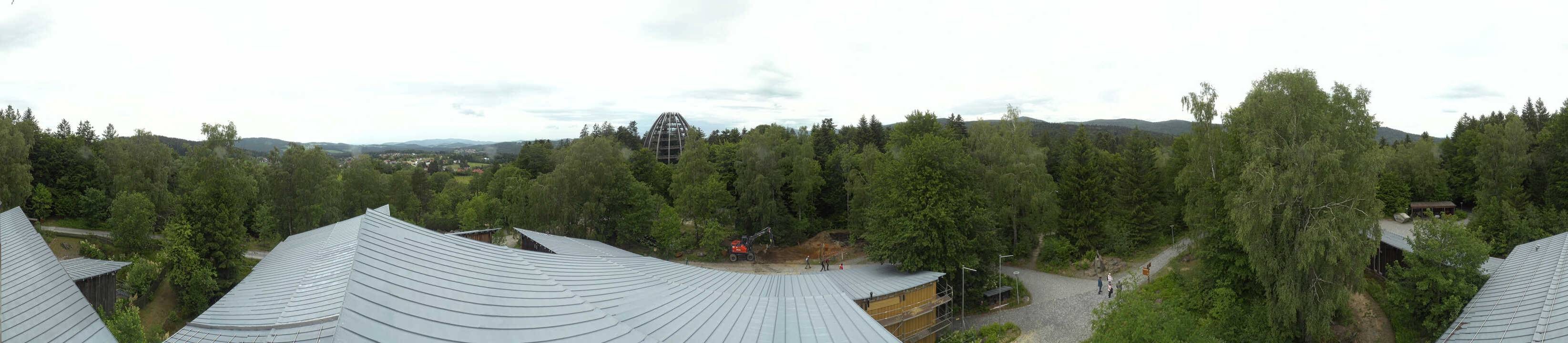 Archiv Foto Webcam Neuschönau - Baumwipfelpfad Bayerischer Wald
