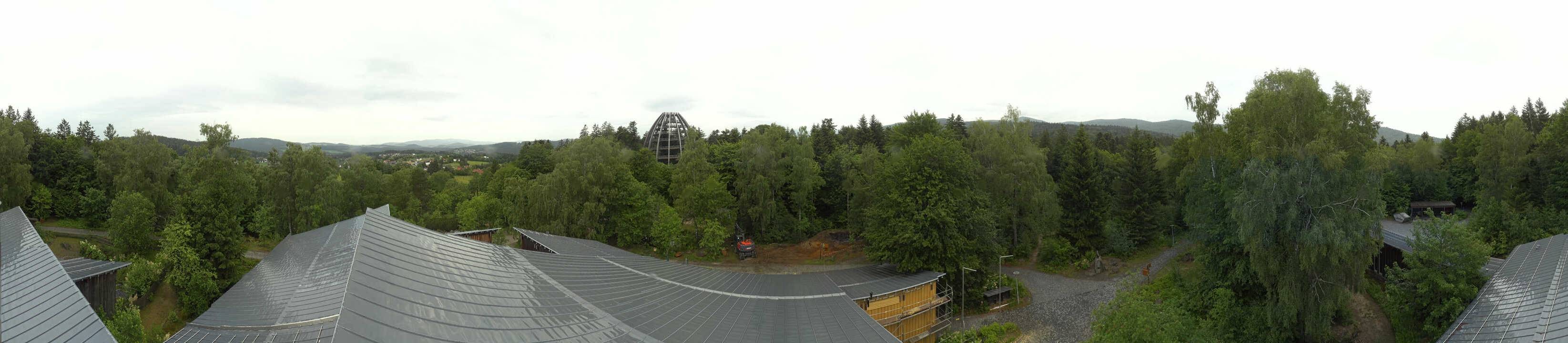 Archiv Foto Webcam Neuschönau - Baumwipfelpfad Bayerischer Wald