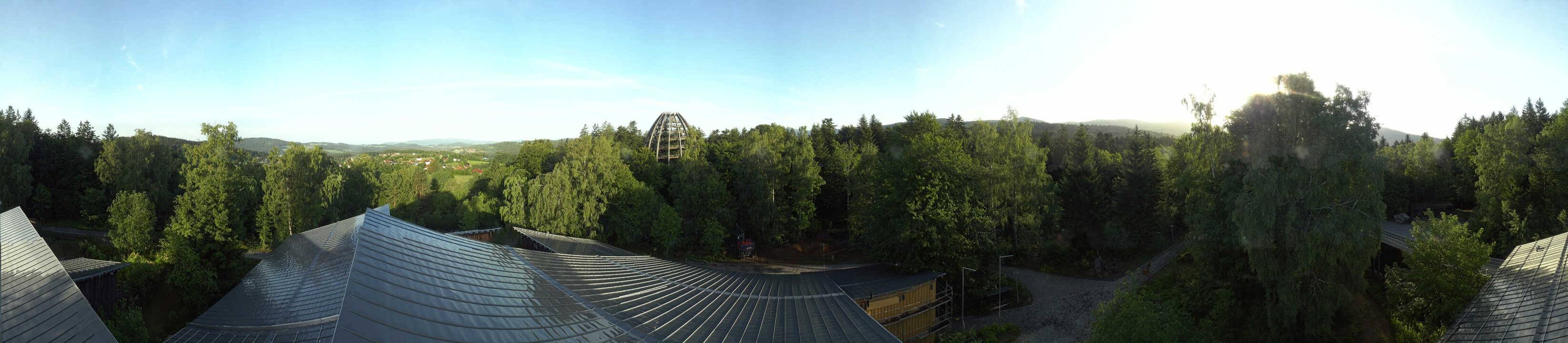Archiv Foto Webcam Neuschönau - Baumwipfelpfad Bayerischer Wald