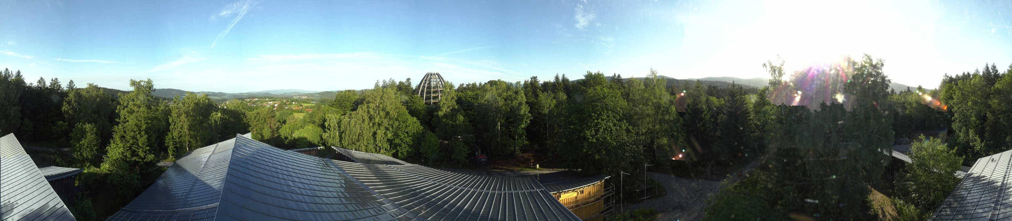 Archiv Foto Webcam Neuschönau - Baumwipfelpfad Bayerischer Wald