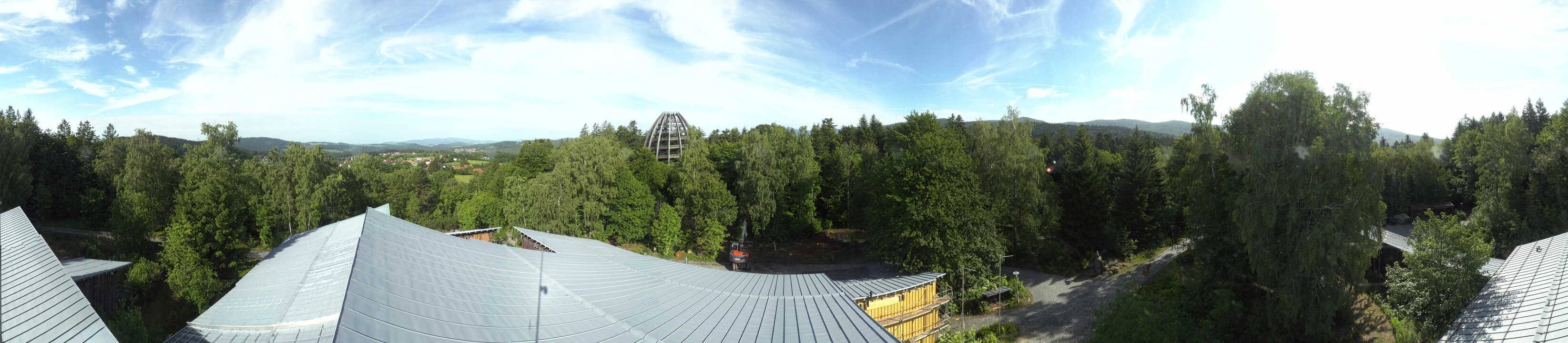 Archived image Webcam Neuschönau - Tree Top Walk Bavarian Forest