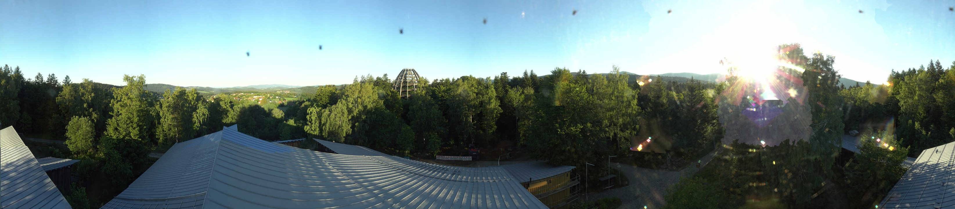 Archiv Foto Webcam Neuschönau - Baumwipfelpfad Bayerischer Wald