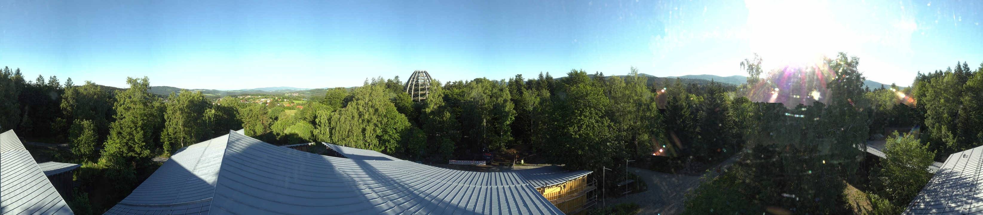 Archiv Foto Webcam Neuschönau - Baumwipfelpfad Bayerischer Wald