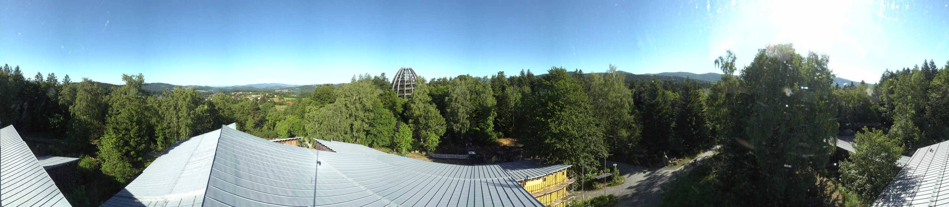 Archiv Foto Webcam Neuschönau - Baumwipfelpfad Bayerischer Wald
