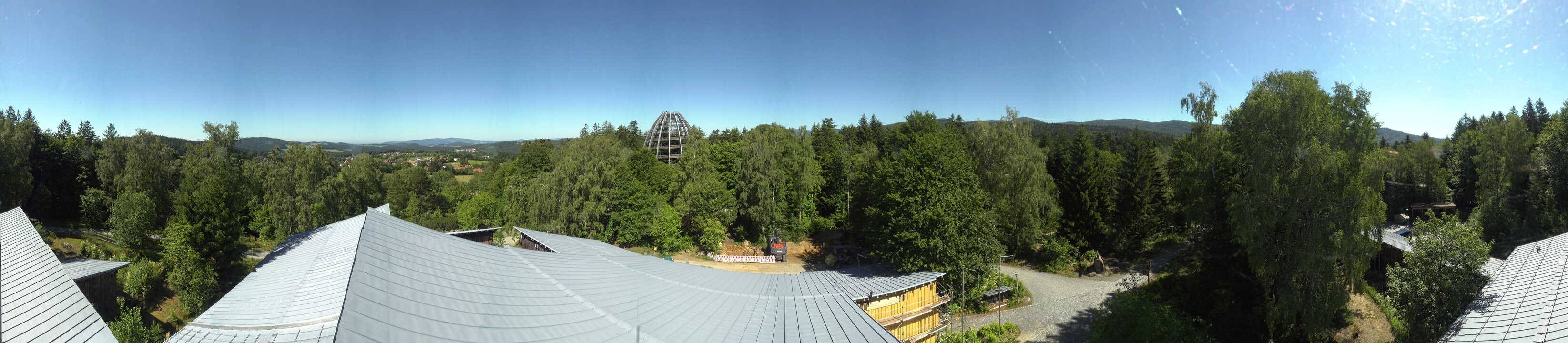 Archiv Foto Webcam Neuschönau - Baumwipfelpfad Bayerischer Wald