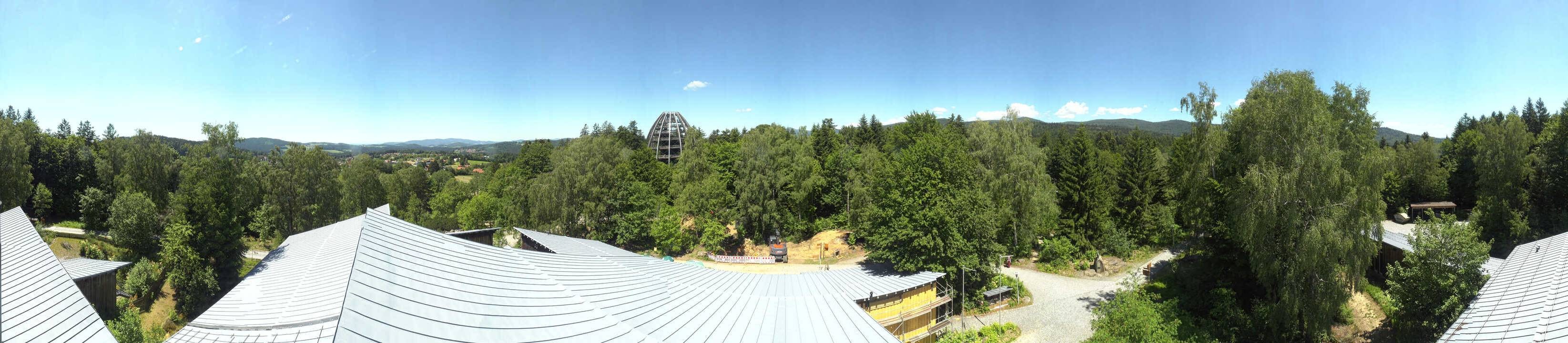 Archiv Foto Webcam Neuschönau - Baumwipfelpfad Bayerischer Wald