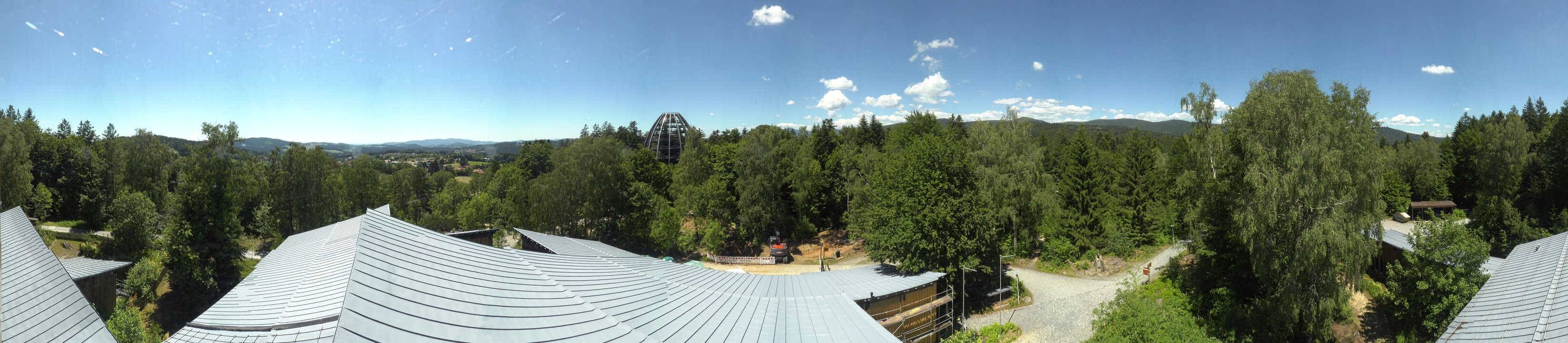 Archiv Foto Webcam Neuschönau - Baumwipfelpfad Bayerischer Wald