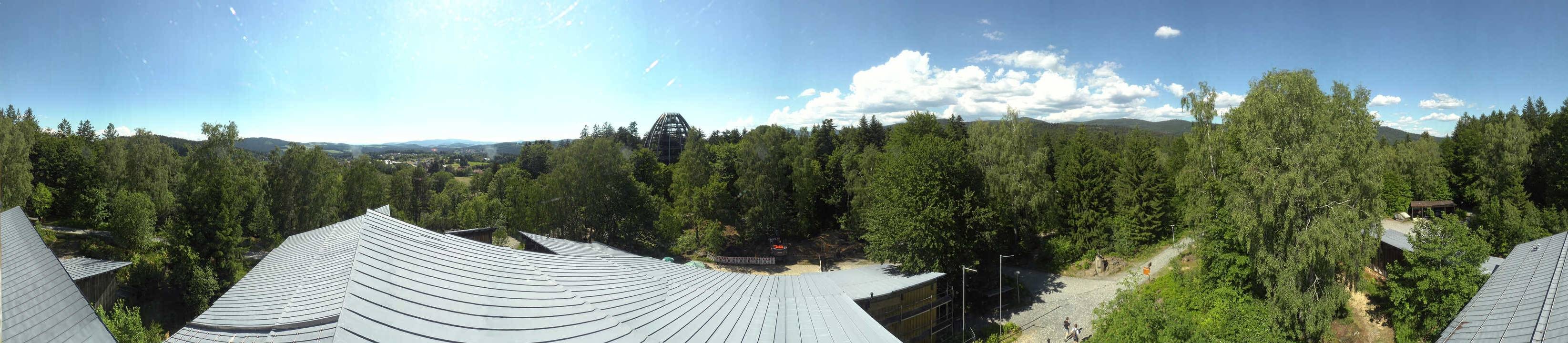 Archiv Foto Webcam Neuschönau - Baumwipfelpfad Bayerischer Wald