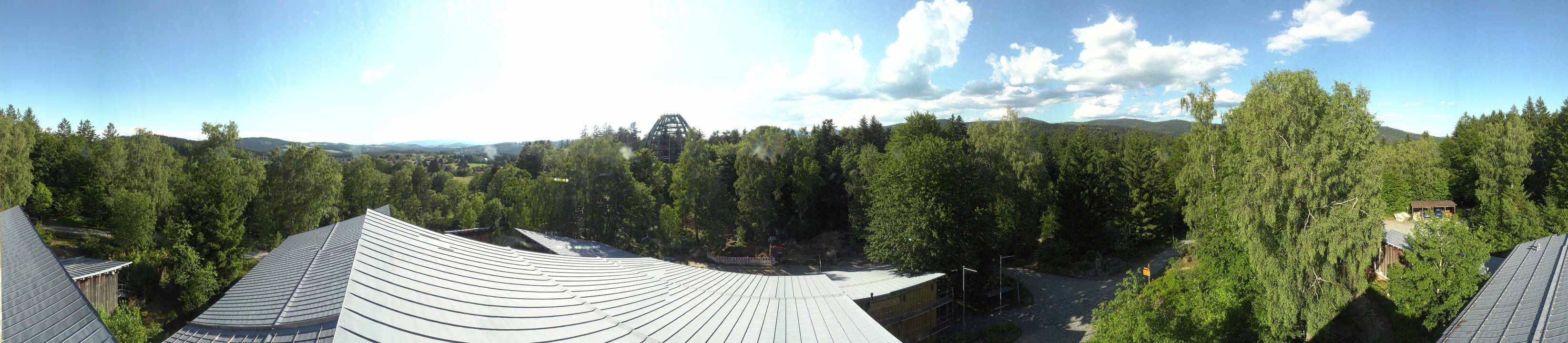 Archiv Foto Webcam Neuschönau - Baumwipfelpfad Bayerischer Wald