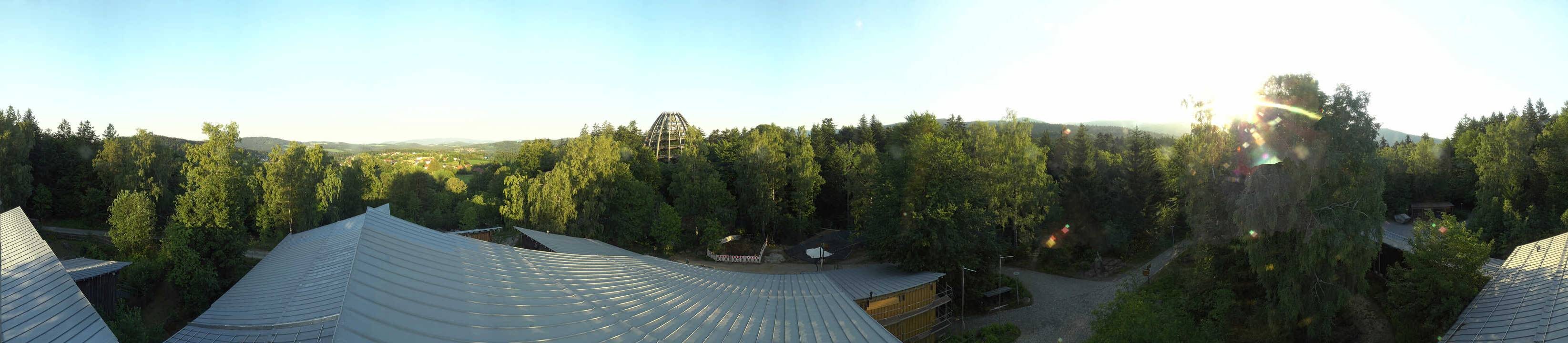 Archiv Foto Webcam Neuschönau - Baumwipfelpfad Bayerischer Wald
